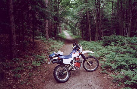 saubleTrails.jpg (52377 bytes)